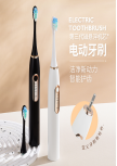 R-C31 Adult Sonic Electric Toothbrush