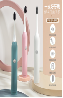 Striped Adult Electric Toothbrush