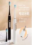 R-C31 Adult Sonic Electric Toothbrush