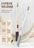 R-D31 Adult Sonic Electric Toothbrush